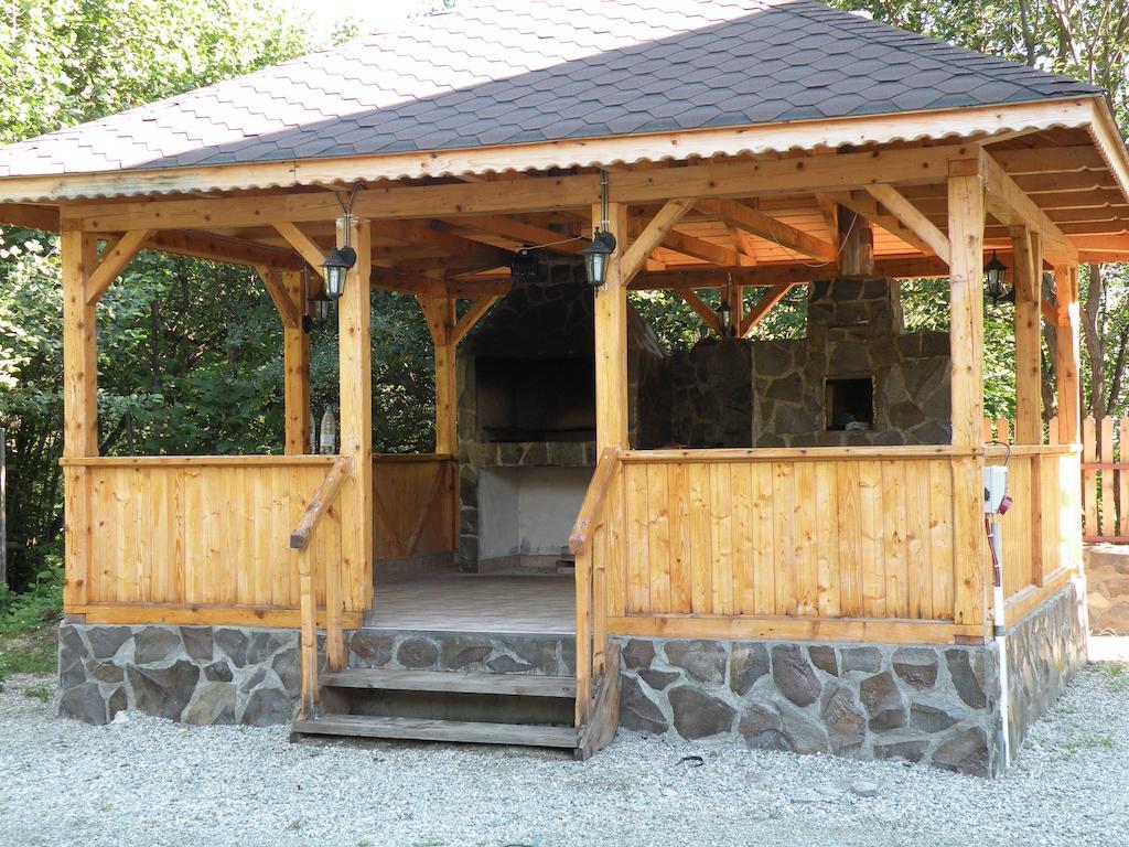 Pensiunea Roua Muntelui Dejani Exterior photo